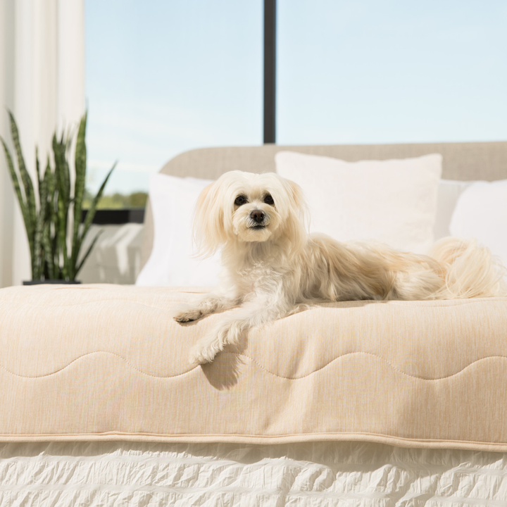 PupChill™ Cooling Waterproof Runner Blanket - Arctic Sand - - Dog Blanket by Paw.com