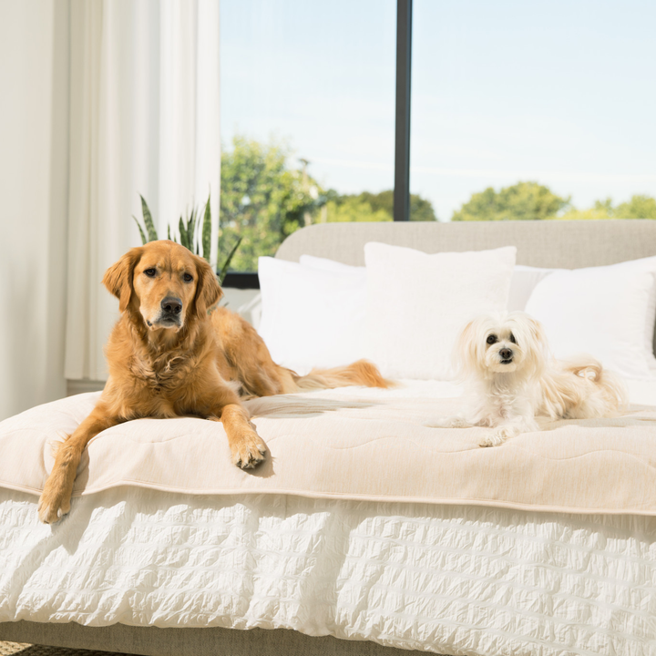 PupChill™ Cooling Waterproof Runner Blanket - Arctic Sand - - Dog Blanket by Paw.com