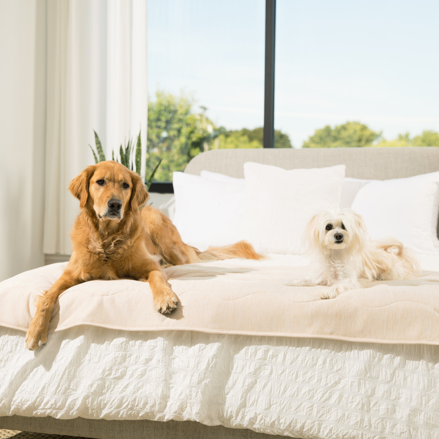 PupChill™ Cooling Waterproof Runner Blanket - Arctic Sand - - Dog Blanket by Paw.com