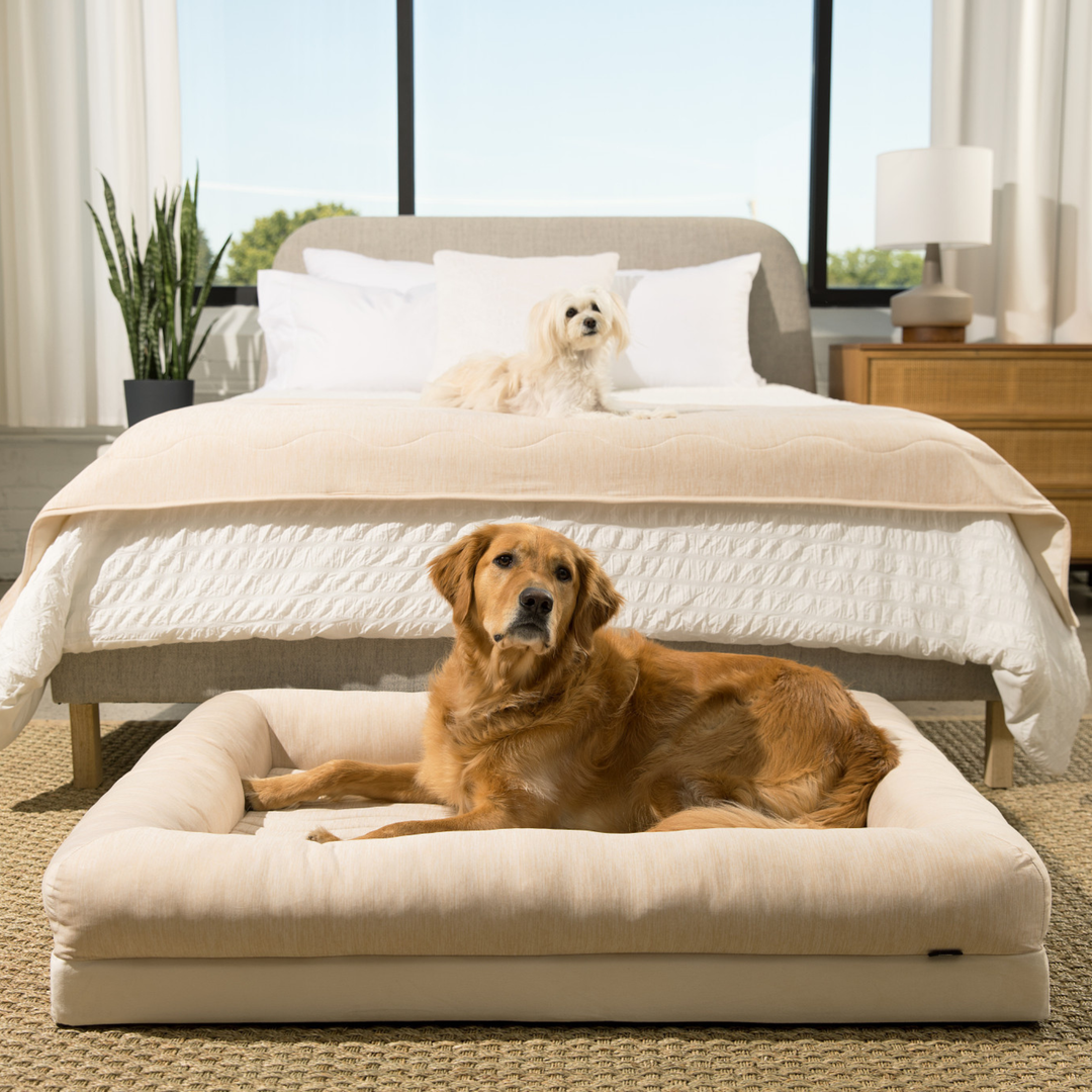 PupChill™ Cooling Waterproof Runner Blanket - Arctic Sand - - Dog Blanket by Paw.com