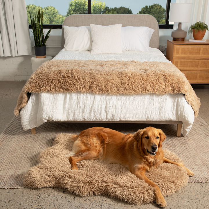 PupRug® Luxe Faux Fur Orthopedic Dog Bed - Plush Sheep Tan - - Dog Beds by Paw.com