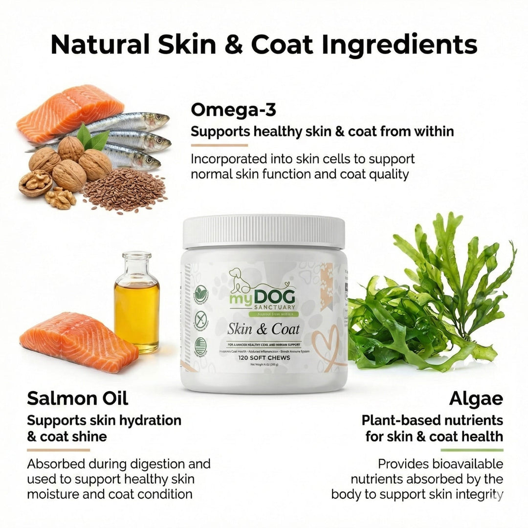 Radiant Refuge Skin & Coat Chews - - by My Dog Sanctuary