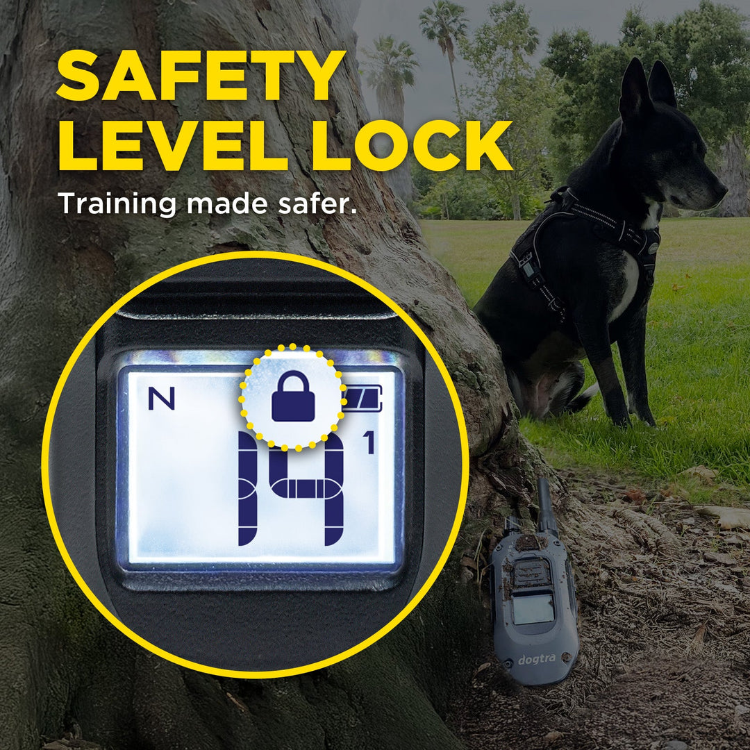 Dogtra 280X 2-Dog Unit - - by Dogtra