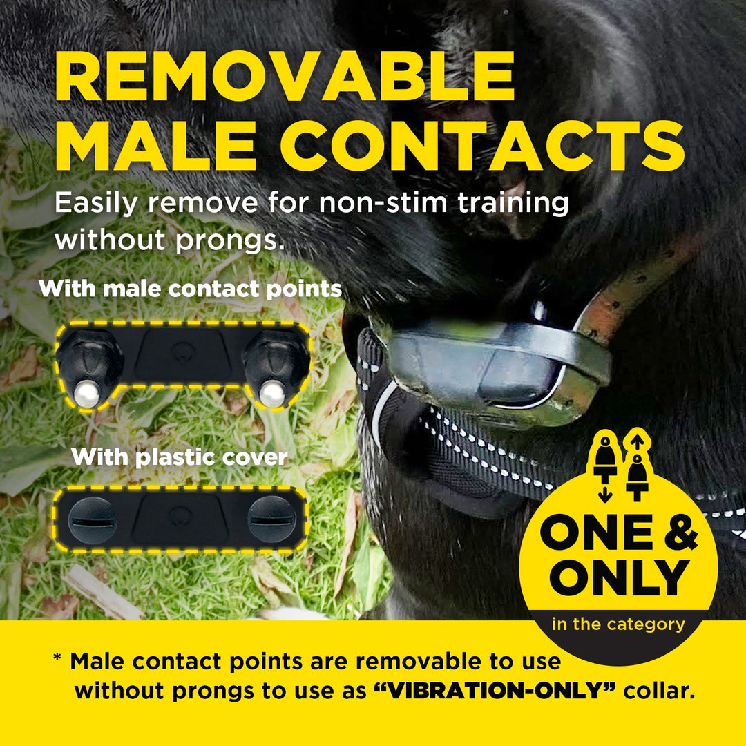 Dogtra 280X 2-Dog Unit - - by Dogtra