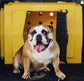 RuffLand Medium Kennel - - Dog crates by Ruff Land Performance Kennels