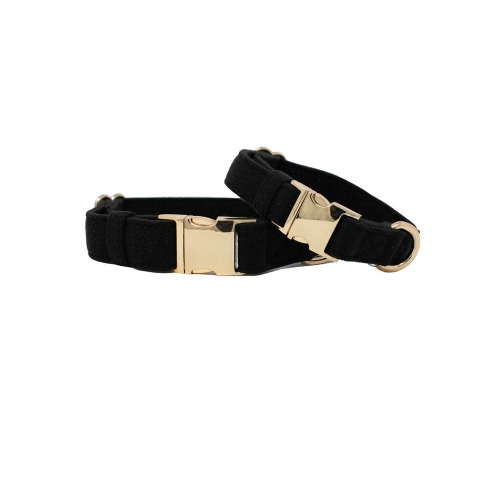 Ryan Dog Collar