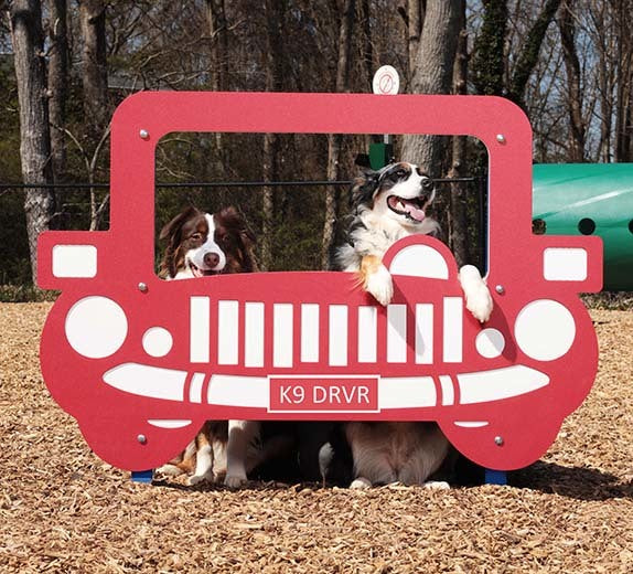 BarkPark Joy Ride - - by BarkPark