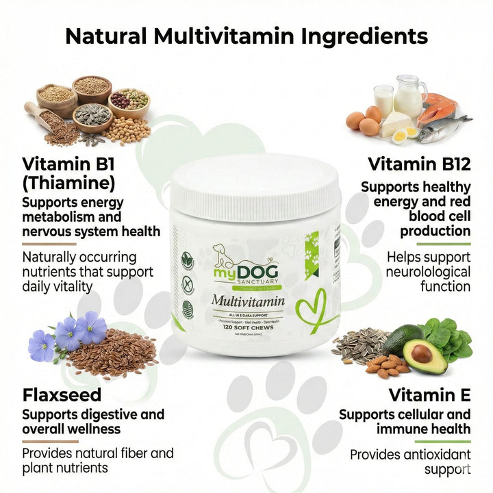 Sanctuary Strength Daily Multivitamin Chews - - by My Dog Sanctuary
