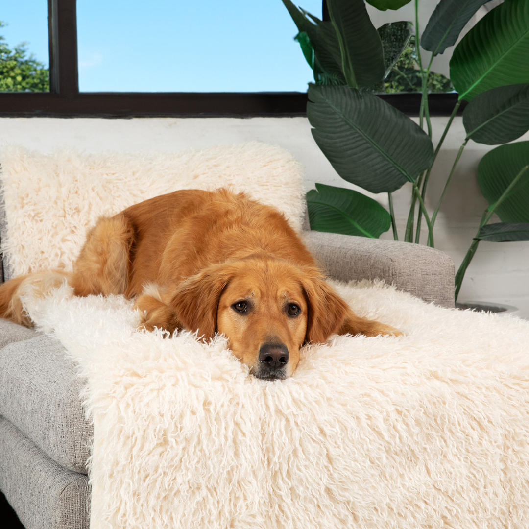 PupProtector™ Luxe Waterproof Bed Runner - Plush Sheep Ivory - - Dog Blanket by Paw.com