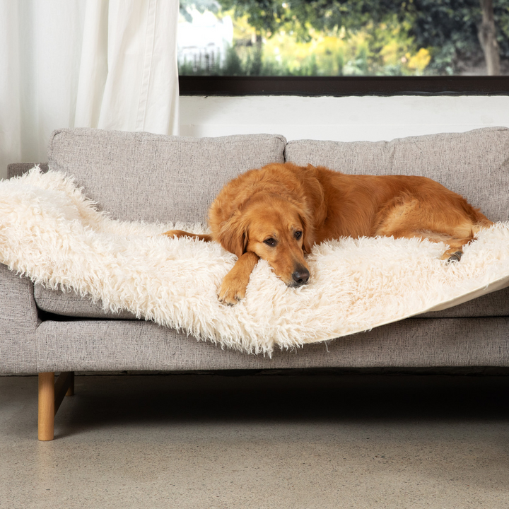 PupProtector™ Luxe Waterproof Bed Runner - Plush Sheep Ivory - - Dog Blanket by Paw.com