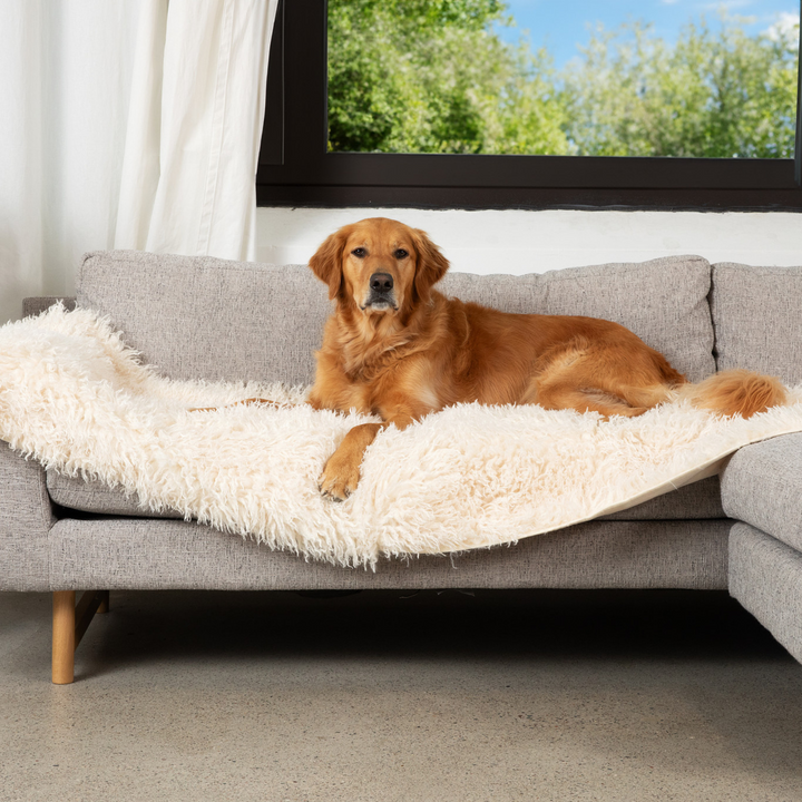 PupProtector™ Luxe Waterproof Bed Runner - Plush Sheep Ivory - - Dog Blanket by Paw.com