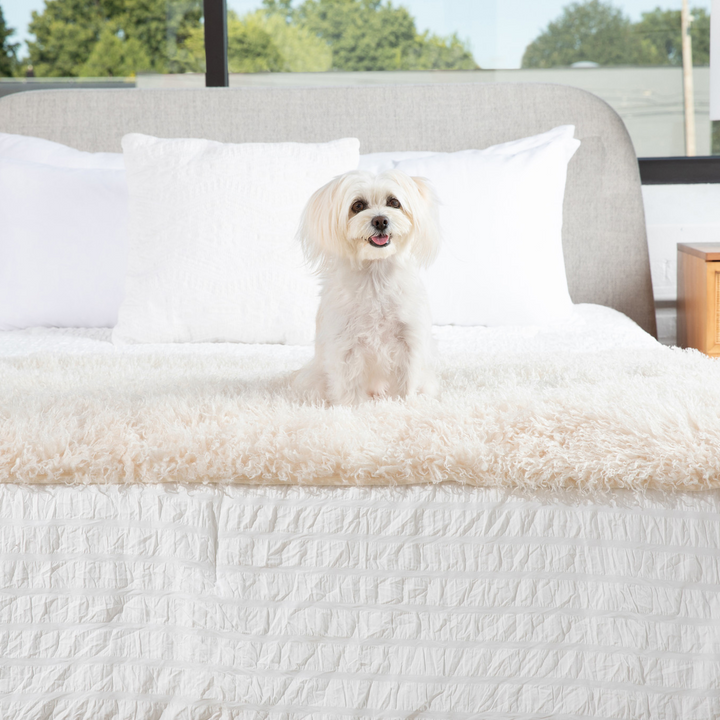 PupProtector™ Luxe Waterproof Bed Runner - Plush Sheep Ivory - - Dog Blanket by Paw.com