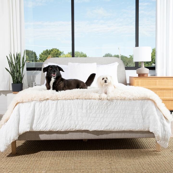 PupProtector™ Luxe Waterproof Bed Runner - Plush Sheep Ivory - - Dog Blanket by Paw.com