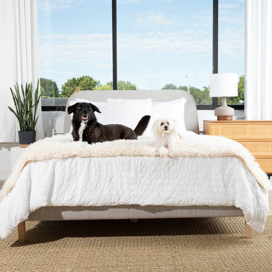 PupProtector™ Luxe Waterproof Bed Runner - Plush Sheep Ivory - - Dog Blanket by Paw.com