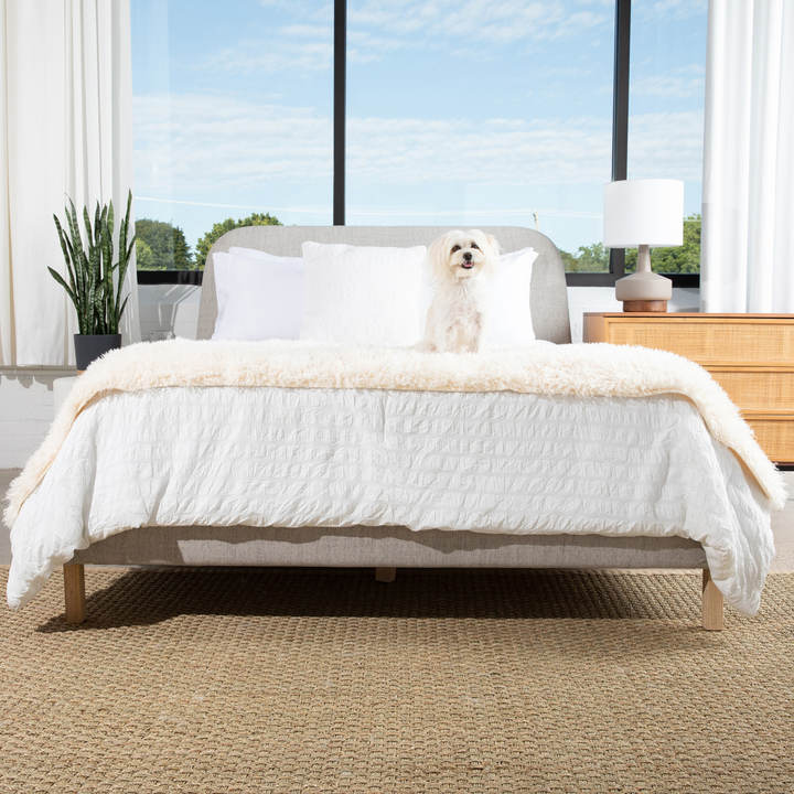 PupProtector™ Luxe Waterproof Bed Runner - Plush Sheep Ivory - - Dog Blanket by Paw.com