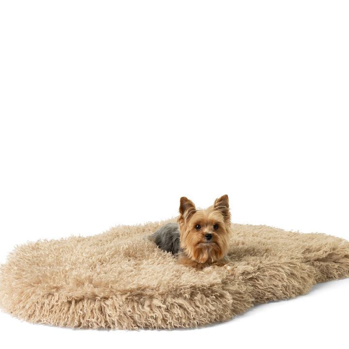 PupRug® Luxe Faux Fur Orthopedic Dog Bed - Plush Sheep Tan - Medium (40" x 25") - Dog Beds by Paw.com