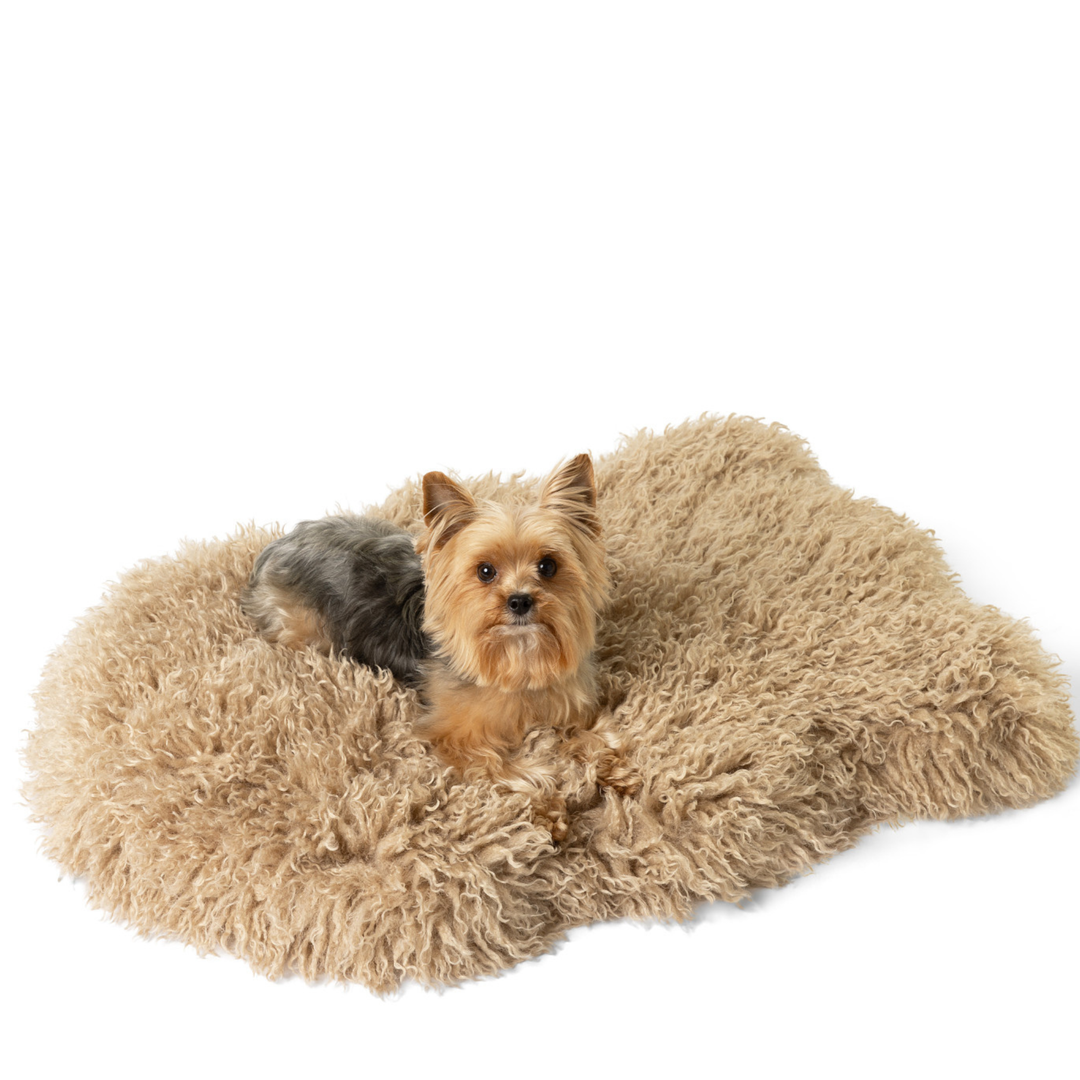 PupRug® Luxe Faux Fur Orthopedic Dog Bed - Plush Sheep Tan - Small (30" x 20") - Dog Beds by Paw.com