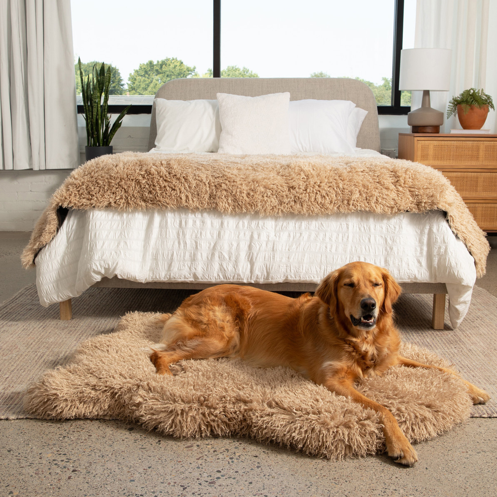 PupRug® Luxe Faux Fur Orthopedic Dog Bed - Plush Sheep Tan - Large (50" x 30") - Dog Beds by Paw.com