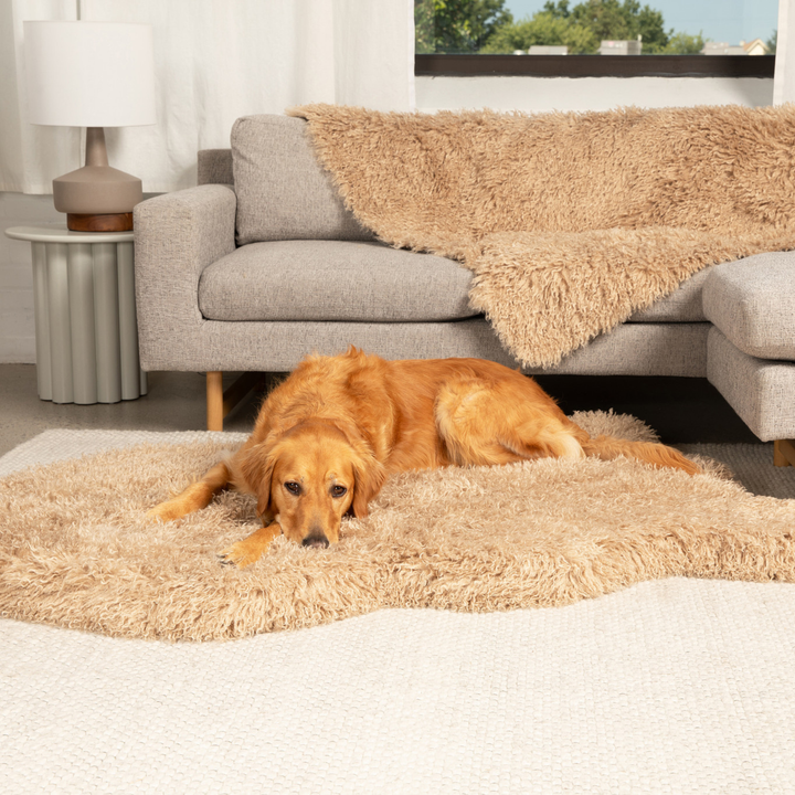 PupRug® Luxe Faux Fur Orthopedic Dog Bed - Plush Sheep Tan - Giant (60" x 35") - Dog Beds by Paw.com