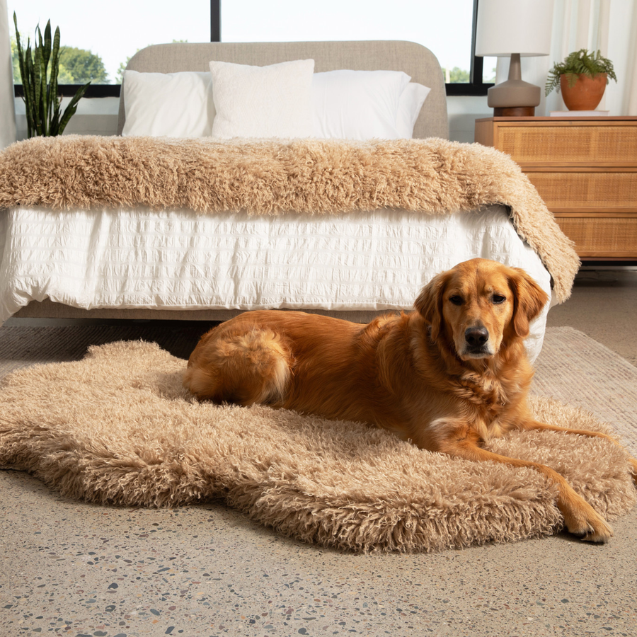 PupRug® Luxe Faux Fur Orthopedic Dog Bed - Plush Sheep Tan - - Dog Beds by Paw.com