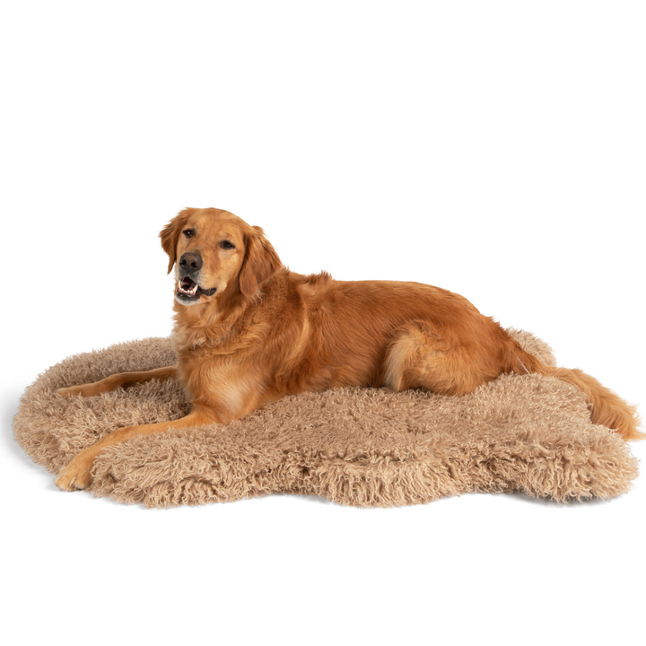 PupRug® Luxe Faux Fur Orthopedic Dog Bed - Plush Sheep Tan - - Dog Beds by Paw.com