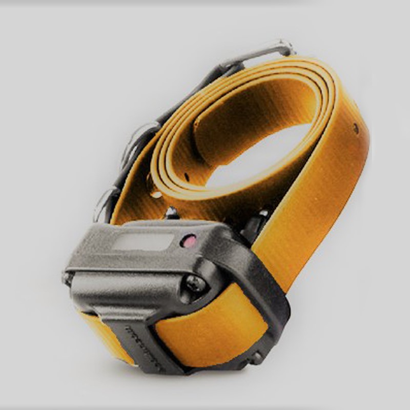 E-Collar RX-090 Receiver - Orange - E-Collar Receiver by E-Collar Technologies