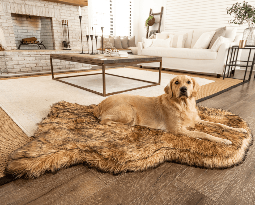 PupRug by Paw.com® Faux Fur Orthopedic Dog Bed - Curve Sable Tan - - Dog Beds by Paw.com