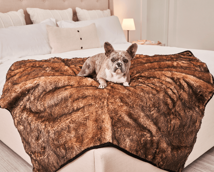 PupProtector™ Short Fur Waterproof Throw Blanket - Sable Tan - - Dog Blanket by Paw.com