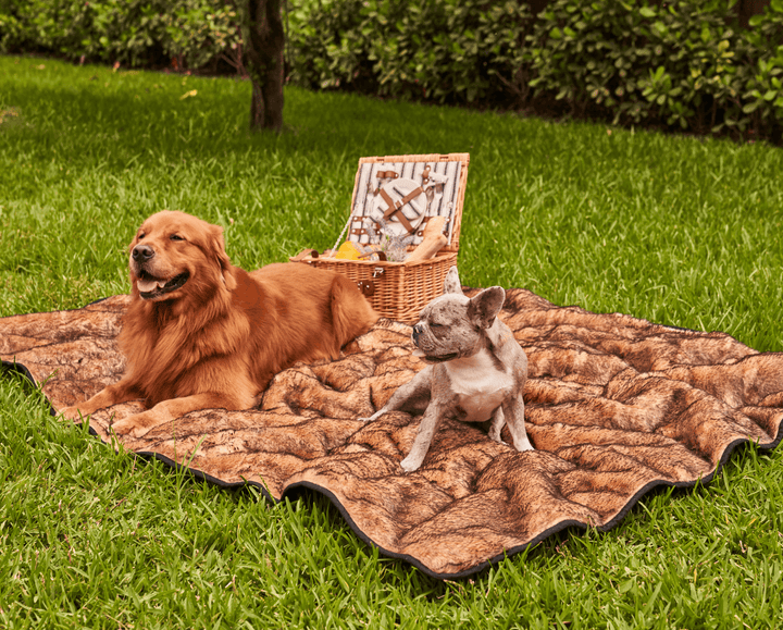 PupProtector™ Short Fur Waterproof Throw Blanket - Sable Tan - - Dog Blanket by Paw.com