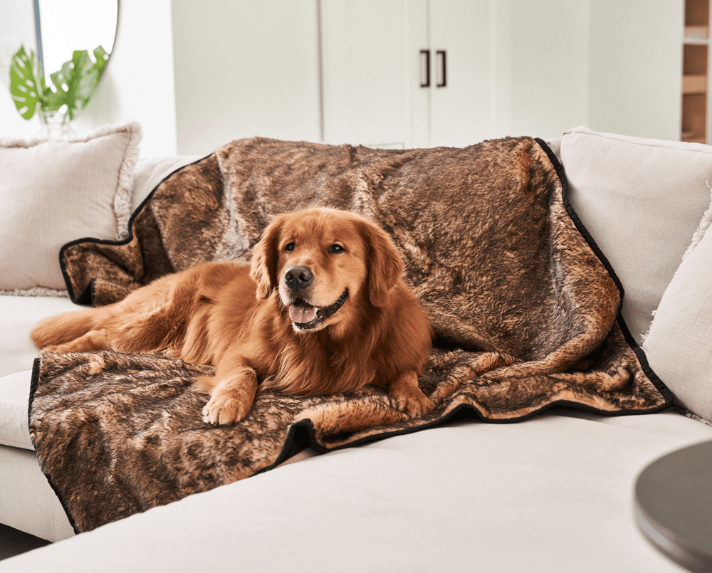 PupProtector™ Short Fur Waterproof Throw Blanket - Sable Tan - Original (60"L x 50"W) - Dog Blanket by Paw.com