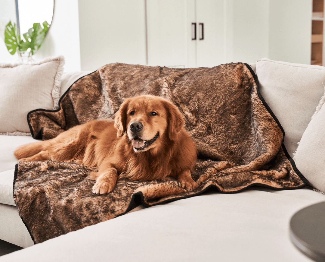 PupProtector™ Short Fur Waterproof Throw Blanket - Sable Tan - Original (60"L x 50"W) - Dog Blanket by Paw.com