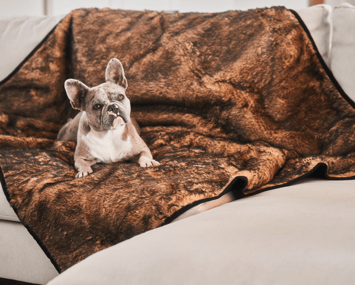 PupProtector™ Short Fur Waterproof Throw Blanket - Sable Tan - - Dog Blanket by Paw.com