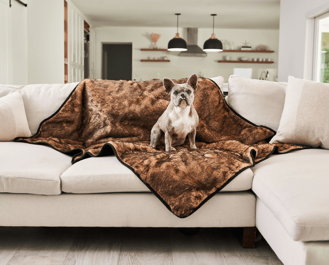 PupProtector™ Short Fur Waterproof Throw Blanket - Sable Tan - - Dog Blanket by Paw.com