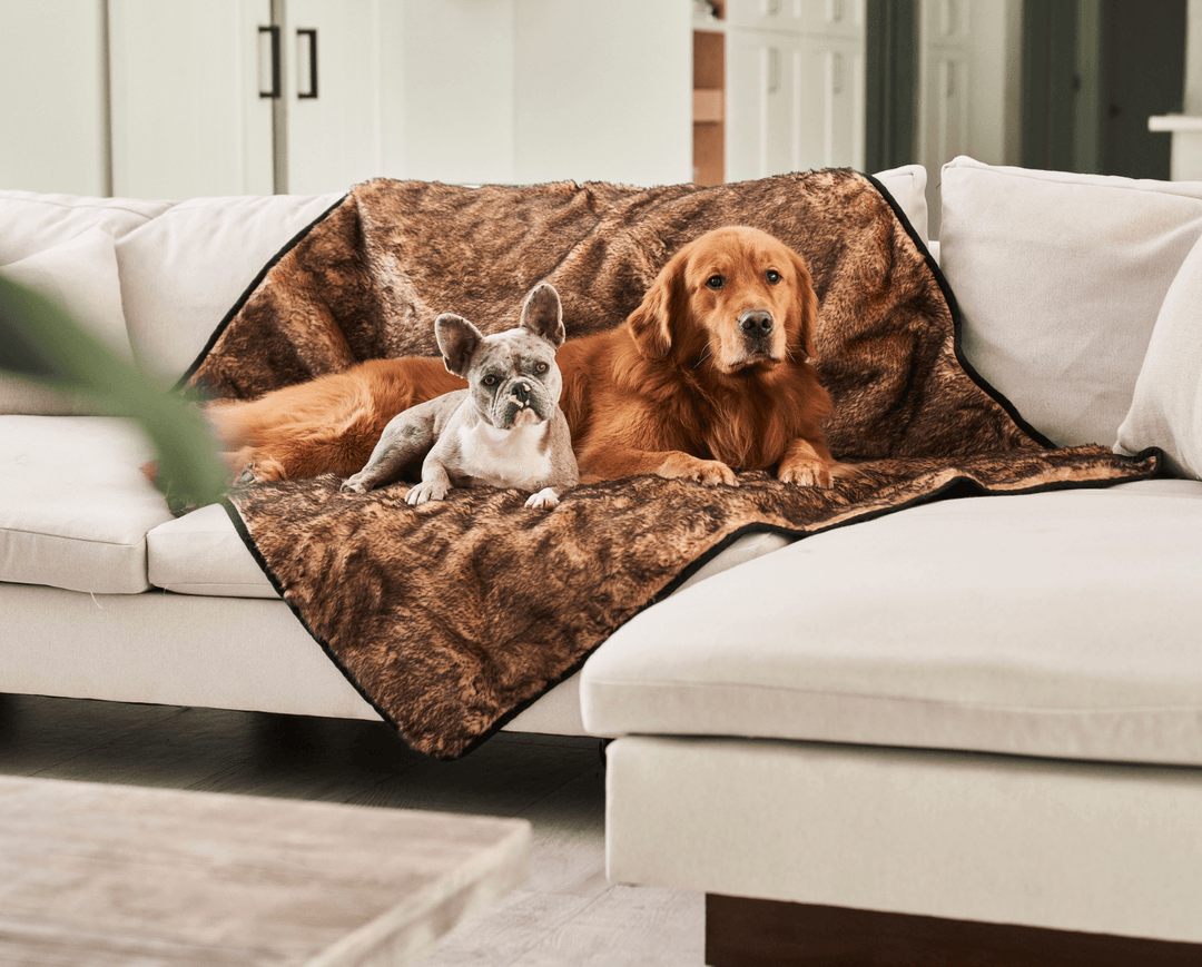 PupProtector™ Short Fur Waterproof Throw Blanket - Sable Tan - - Dog Blanket by Paw.com