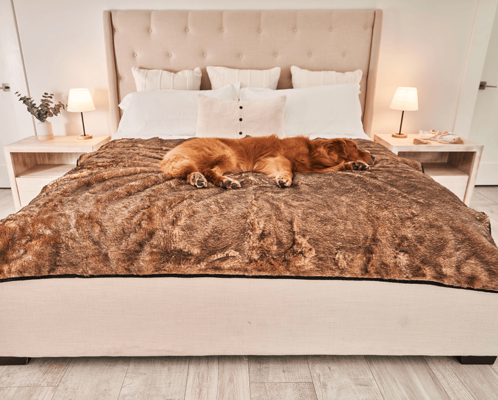 PupProtector™ Short Fur Waterproof Throw Blanket - Sable Tan - Large (80"L X 62"W) - Dog Blanket by Paw.com