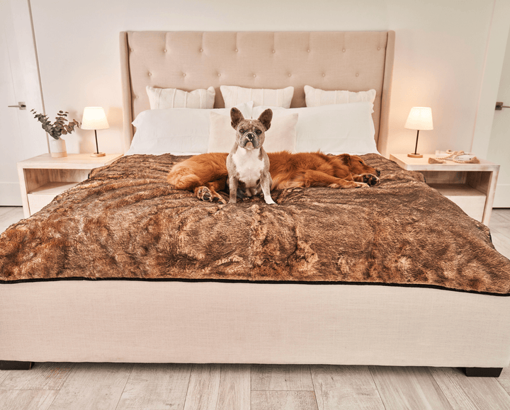 PupProtector™ Short Fur Waterproof Throw Blanket - Sable Tan - - Dog Blanket by Paw.com
