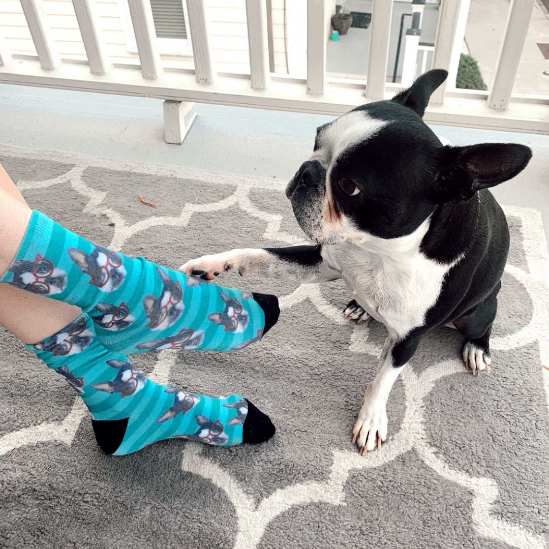 Petsies Custom Pet Socks