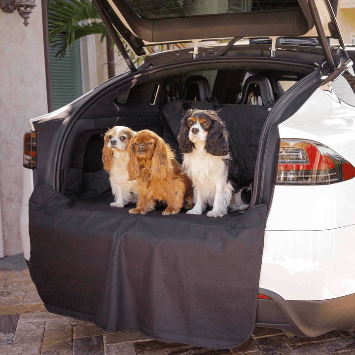 PupProtector™ Cargo Cover Liner for SUVs and Cars - - Travel by Paw.com
