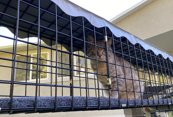 K9 Kennel Store 8-Piece Residential Retreat - - Catio by K9 Kennel Store