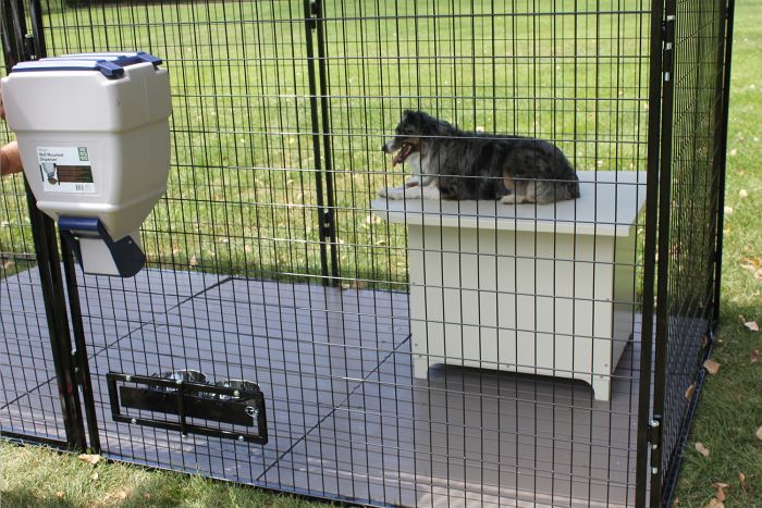 K9 Kennel Store XXL Heavy Duty Powdercoated Metal Large Breed Dog House Den - - Dog House by K9 Kennel Store
