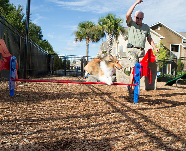 BarkPark Rover Jump Over - - by BarkPark