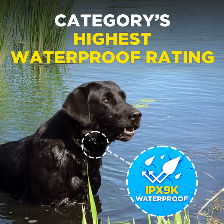 Dogtra Smart NoBark Collar - - by Dogtra