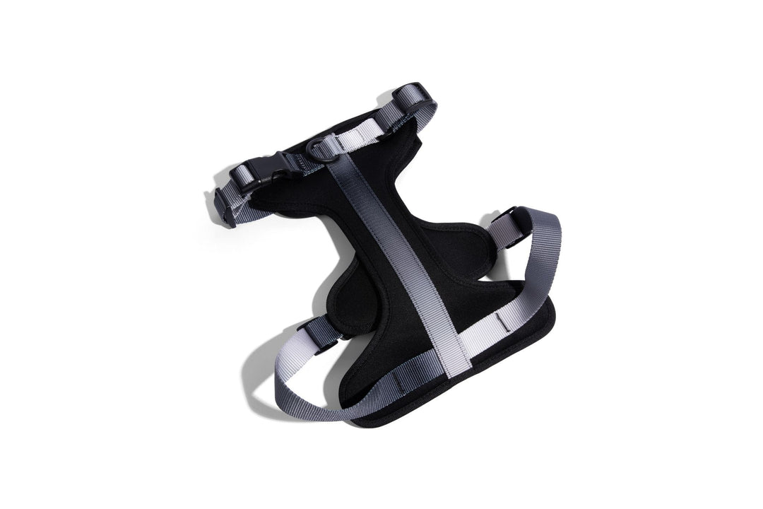 Rowan Dog Harness