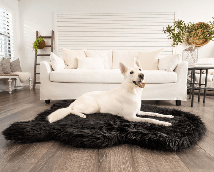 PupRug by Paw.com® Faux Fur Orthopedic Dog Bed - Curve Midnight Black - Giant (60" L x 35" W) - Dog Beds by Paw.com