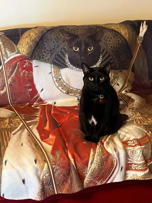 Petsies Custom Pet Renaissance Blankets