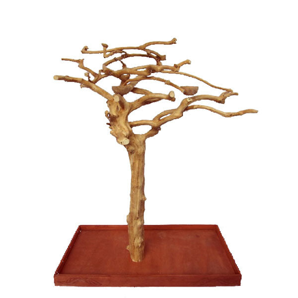 A&E Java Wood Tree - Small - Bird Play Stand by A&E