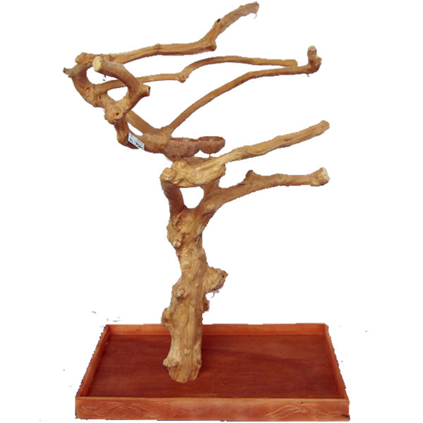 A&E Java Wood Tree Boxed - Large - Bird Play Stand by A&E