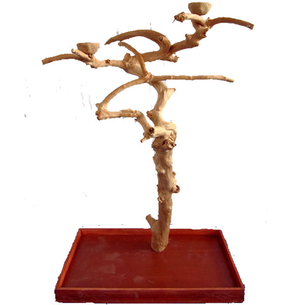 A&E Java Wood Tree Boxed - Medium - Bird Play Stand by A&E