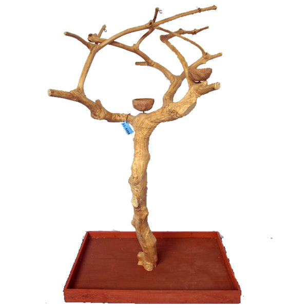 A&E Java Wood Tree Boxed - Small - Bird Play Stand by A&E