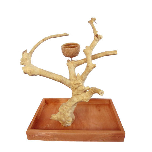 A&E Java Wood Table Top Play Stand - Small - Bird Play Stand by A&E